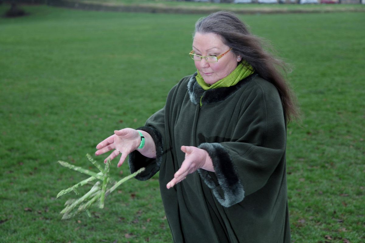 An individual, dressed in a black overcoat, is standing on a lush green field and appears to be examining a plant in their hands.