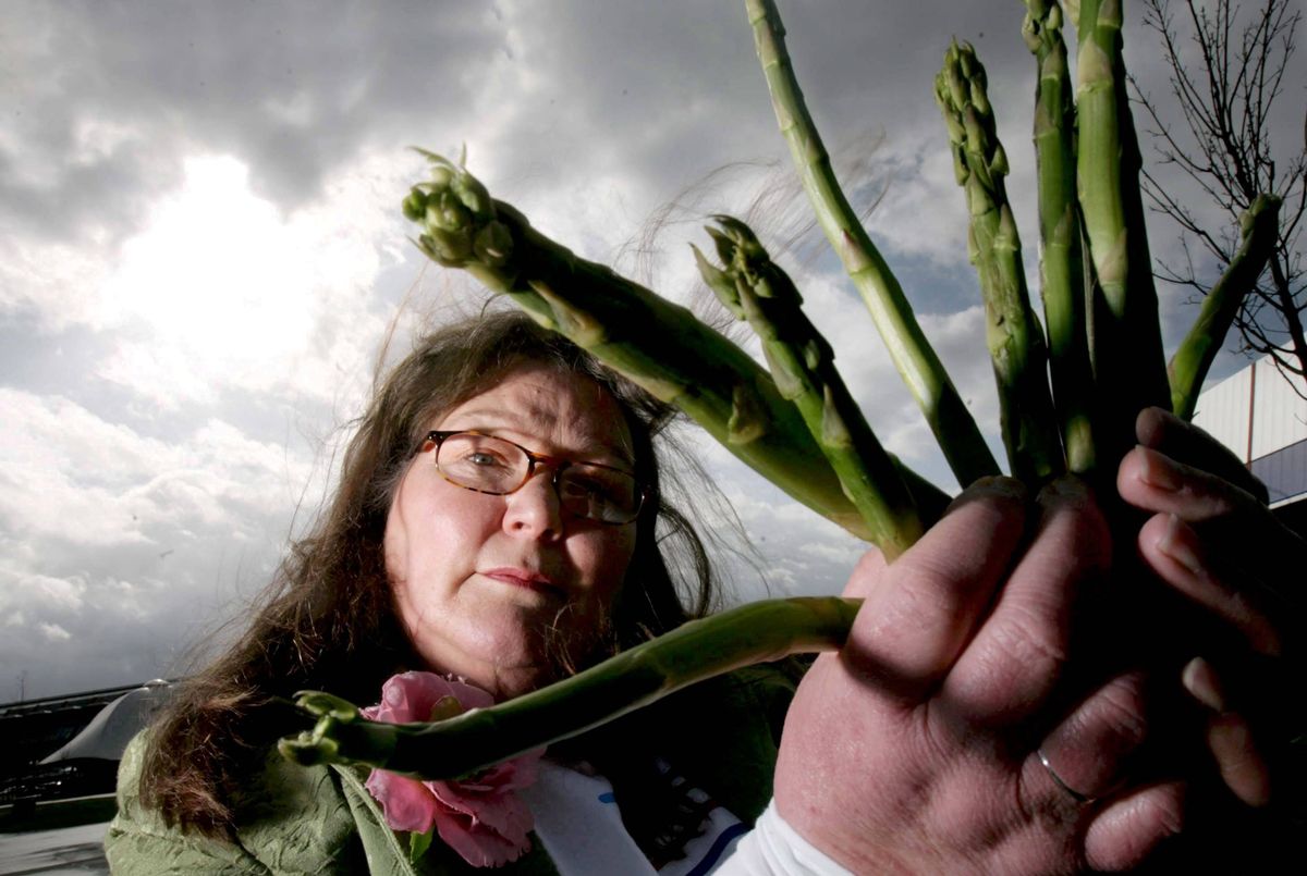 An individual holding a collection of green asparagus with a cloudy sky in the background.