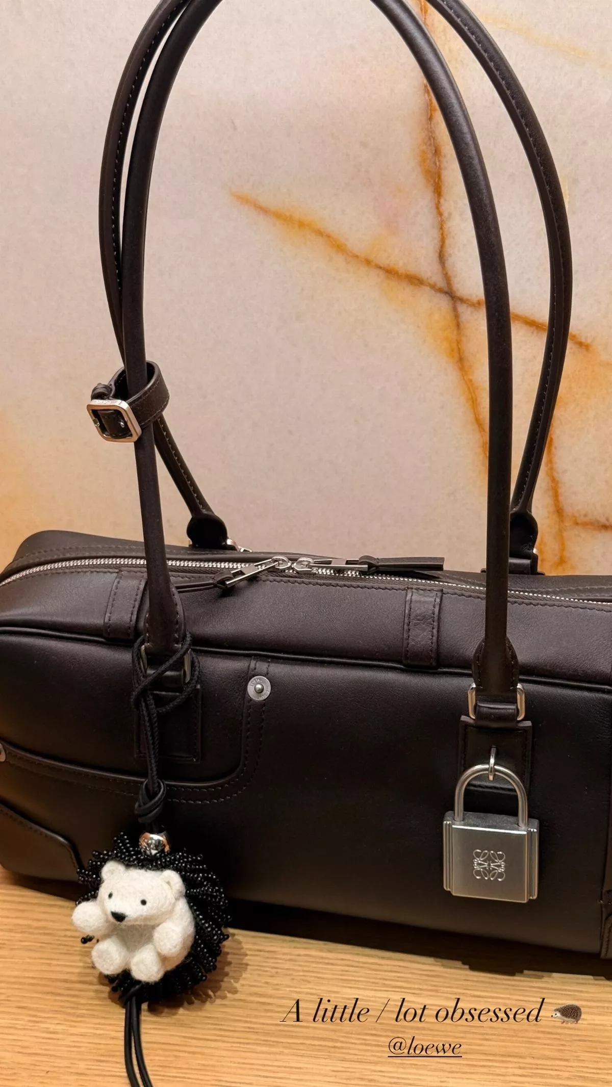 Holly showed off her designer bags on Instagram