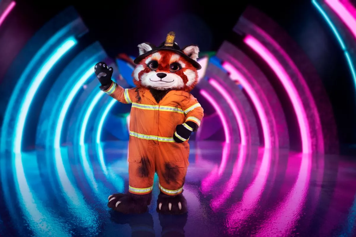 red panda