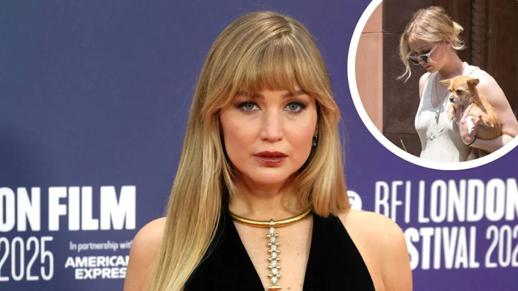 Yahoo entertainment home