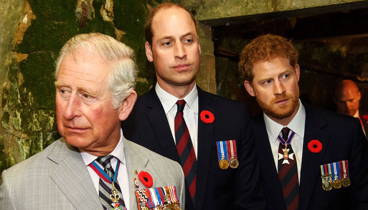 How Princes William, Harry were caught in early royal controversy involving Charles