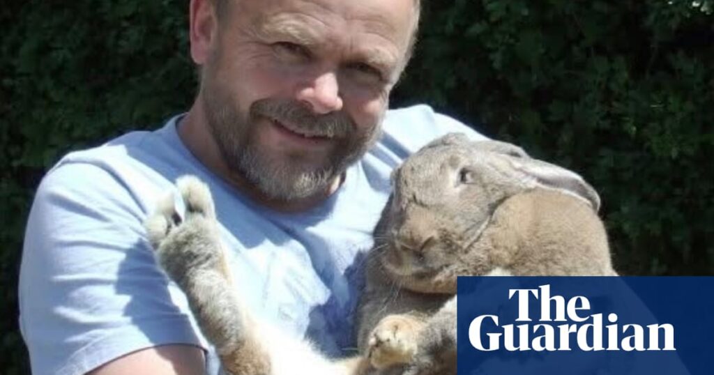 The pet I’ll never forget: Dory the 10kg rabbit, who saved me from a diabetic coma | Pets