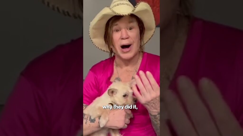 Mickey Rourke denies any involvement with ‘humiliating’ $100K GoFundMe as he faces eviction #shorts