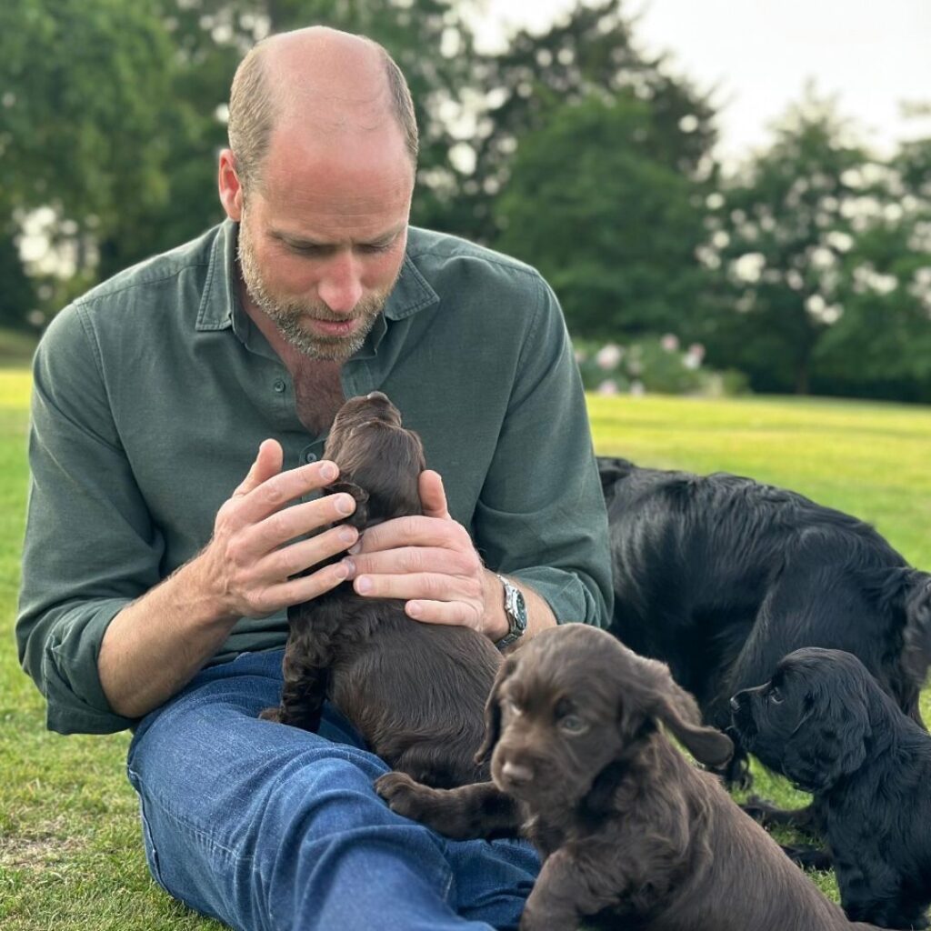 Yahoo entertainment home