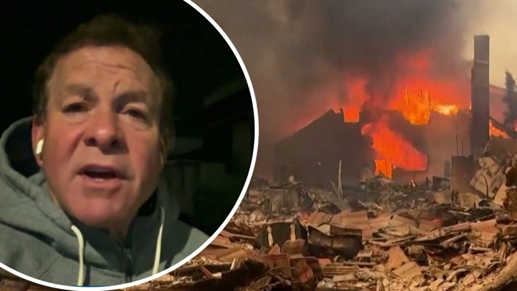 LA Fires 1 Year Later: Steve Guttenberg Relives His Viral Rescue Efforts