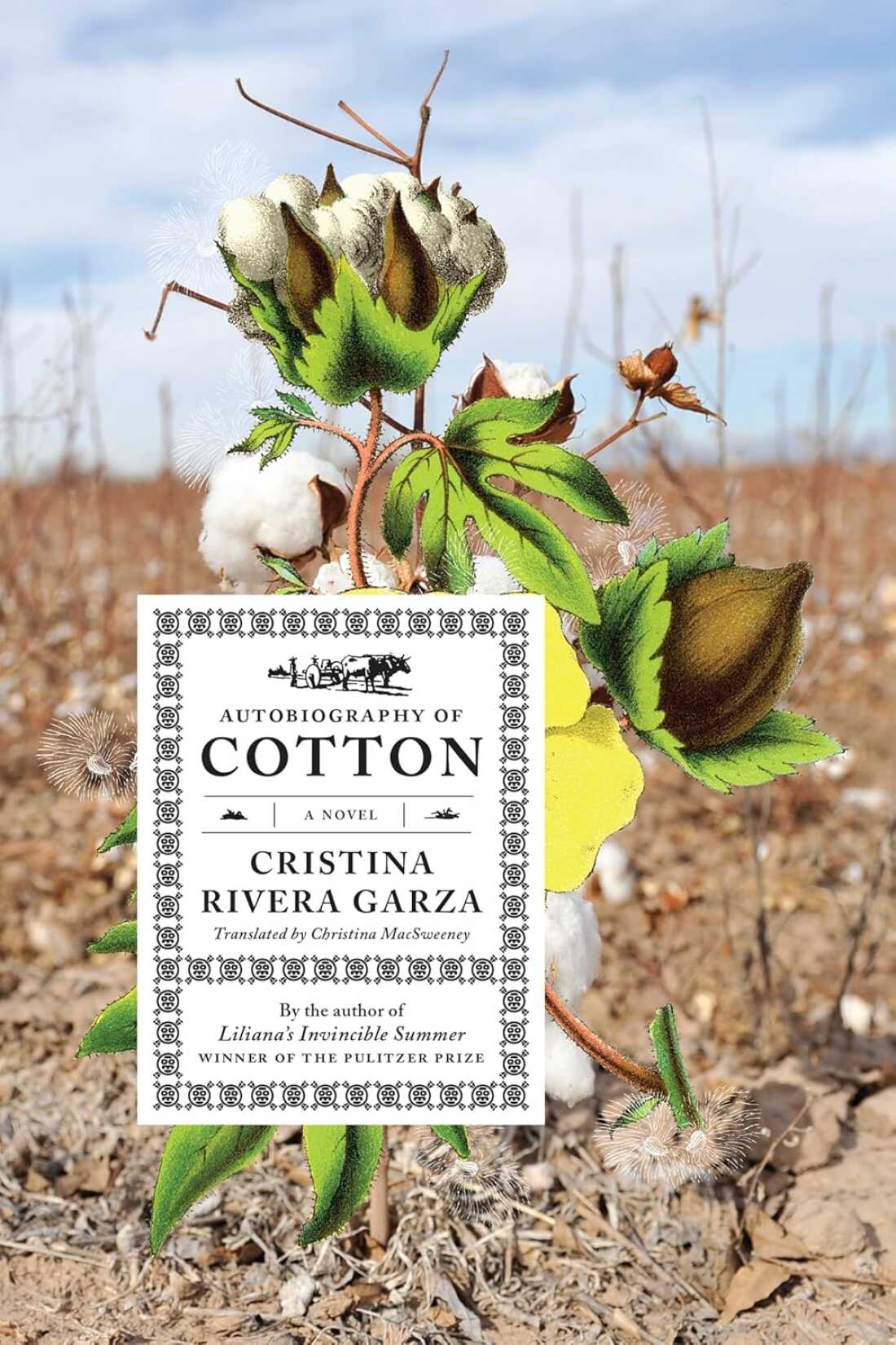 Autobiography of Cotton, by Cristina Rivera Garza