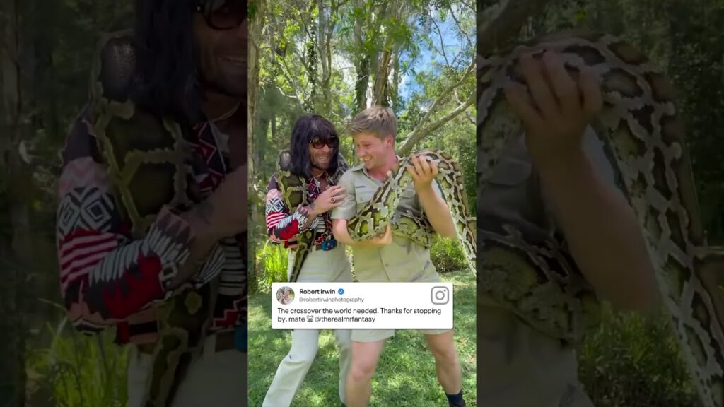 Crikey! It's Robert Irwin and Mr. Fantasy down under.🐍 (🎥:IG/robertirwinphotography)