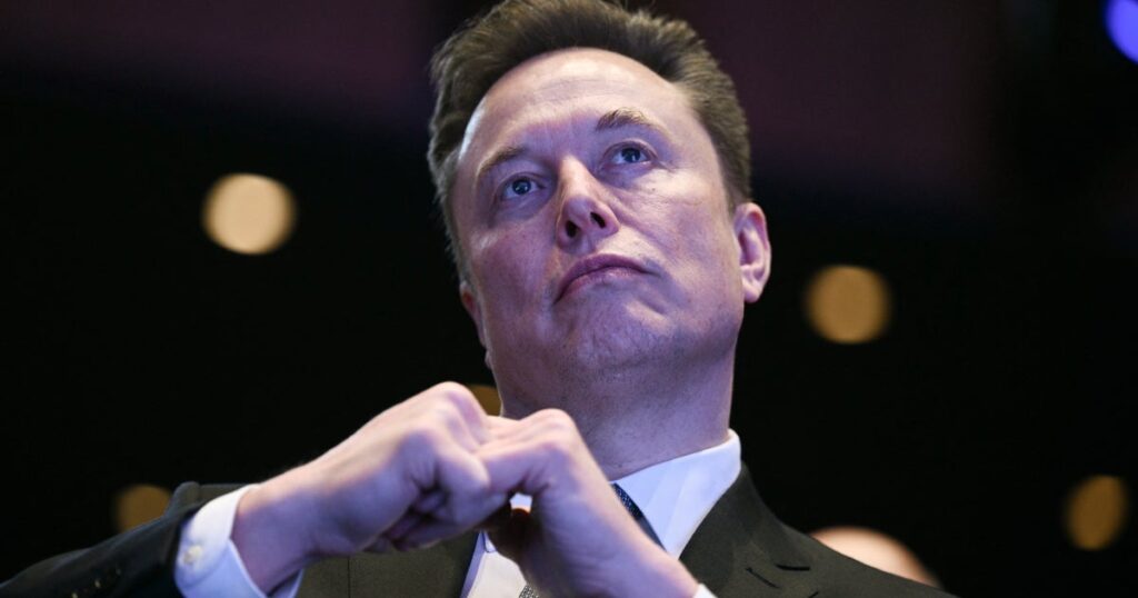 Robyn Reveals Why She Hated Elon Musk 'Before It Was Cool'