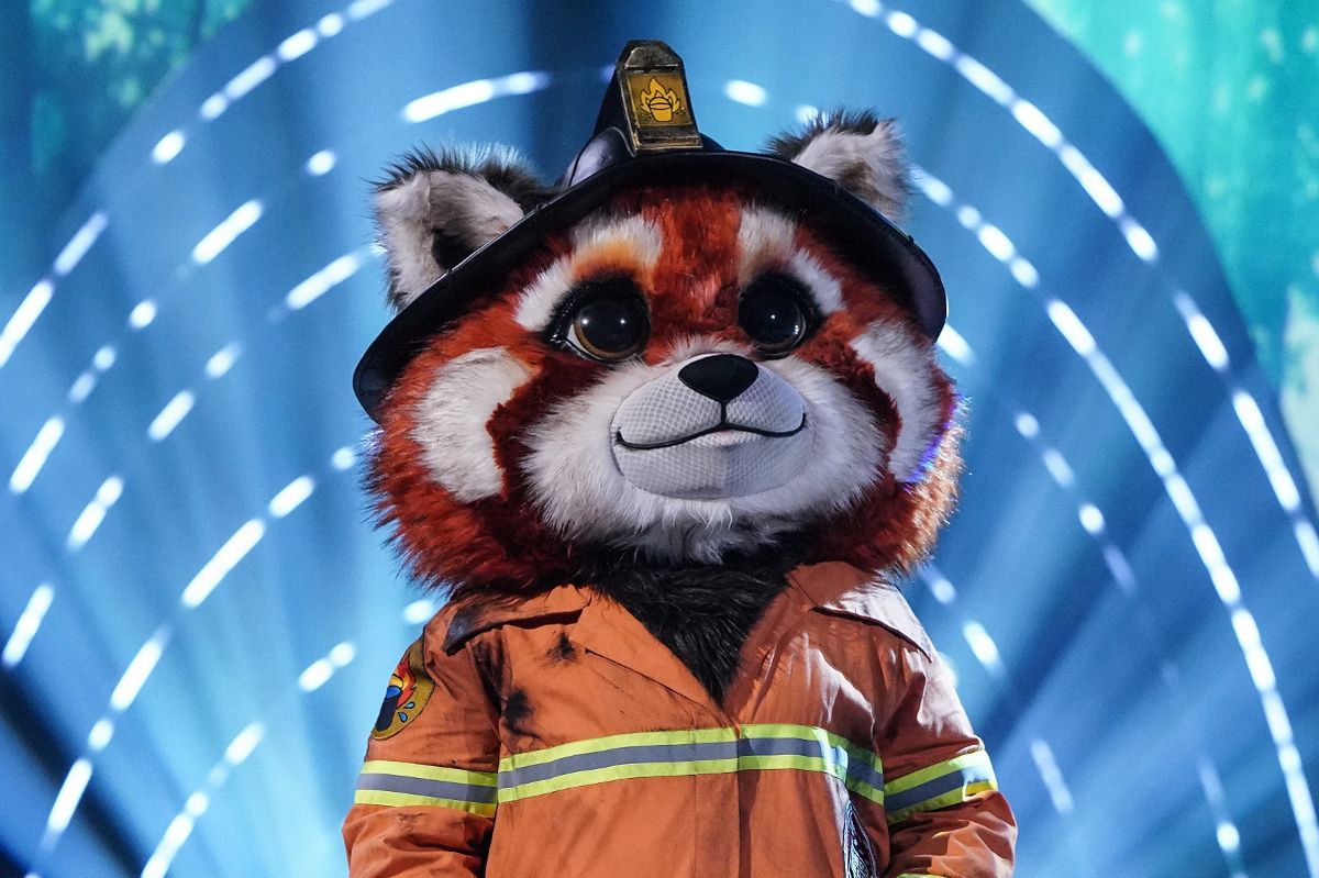 During their debut performance on The Masked Singer on Saturday night, Red Panda may have let slip their true identity
