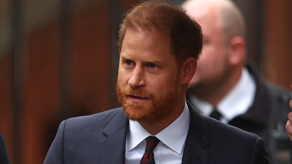 Prince Harry's quiet message to Prince William as royals stick to busy schedule