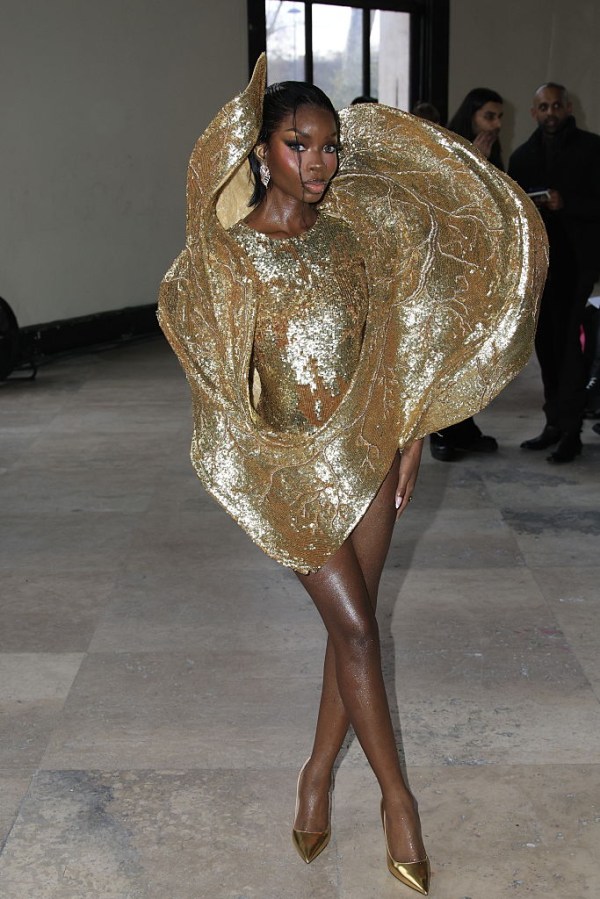 Rahul Mishra - Front Row - Paris Fashion Week - Haute Couture Week Spring/Summer 2026