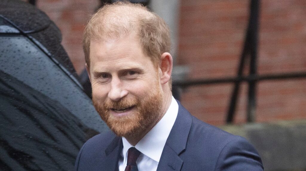 Admit it, Harry, you didn’t hate every second of being a working royal – The Times Admit it, Harry, you didn’t hate every second of being a working royal - The Times
