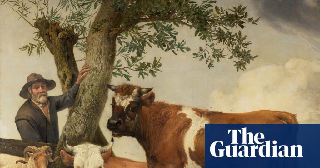 ‘Bigger and lower’: bull in Dutch painting once had much larger testicles | Netherlands ‘Bigger and lower’: bull in Dutch painting once had much larger testicles | Netherlands