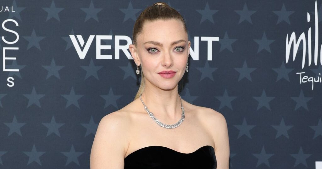 Amanda Seyfried Confused By Timothée Chalamet’s Speech