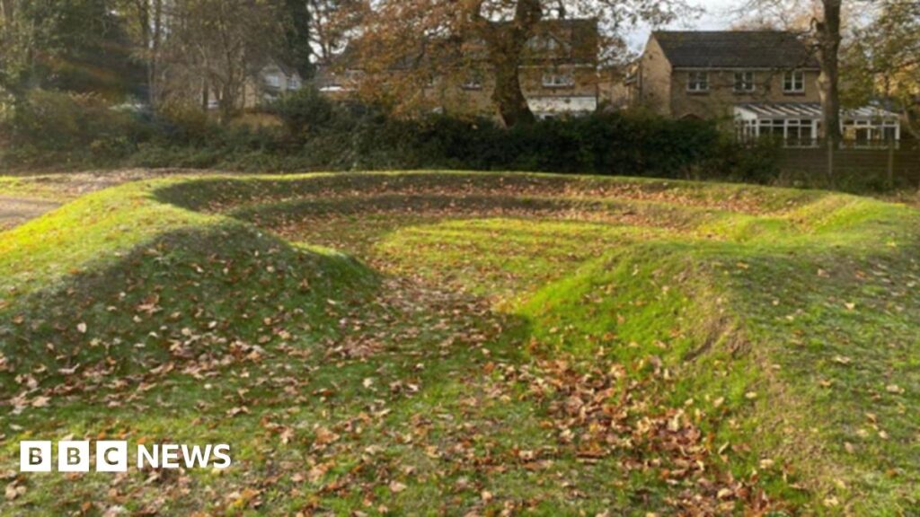 Burley Oaks Primary School requests permission for ‘amphitheatre’ A small patch of grassland which has been manipulated to look like a very small amphitheatre with two rows. Autumn leaves litter the ground. Some houses and trees are in view in the background.
