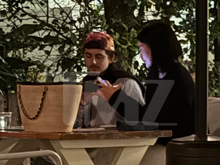kylie-jenner-timothee-chalamet-tmz-1