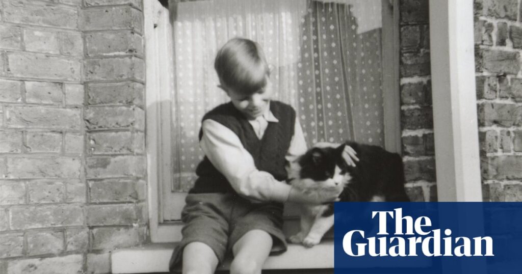 David Bowie’s childhood home to open to public after 1960s restoration | David Bowie