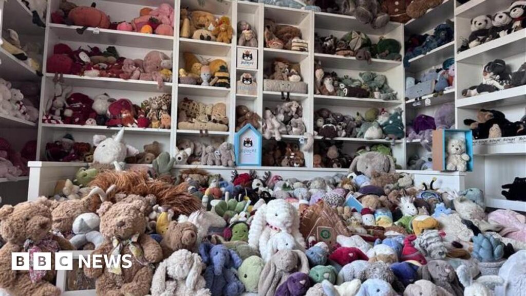 Bedford teen wins world record title for her Jellycat collection A room filled with hundreds of stuffed soft toys, ranging from bunnies to egg cups and pandas.