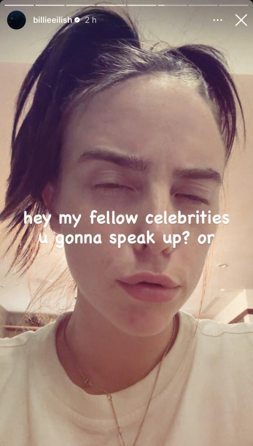 Billie Eilish's Instagram story: “hey my fellow celebrities u gonna speak up? or”