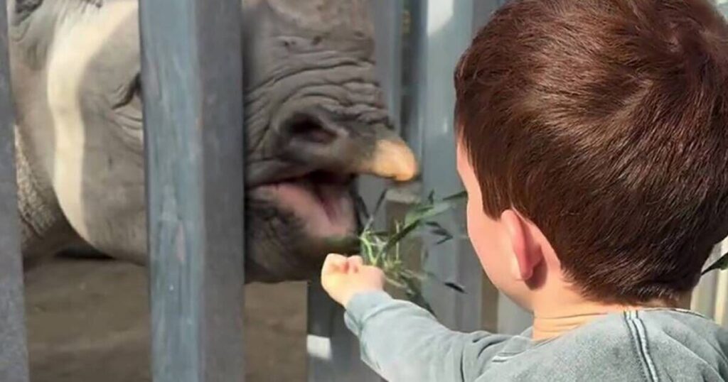 Archie's accent heard in Meghan's Instagram in sweet post | Celebrity News | Showbiz & TV