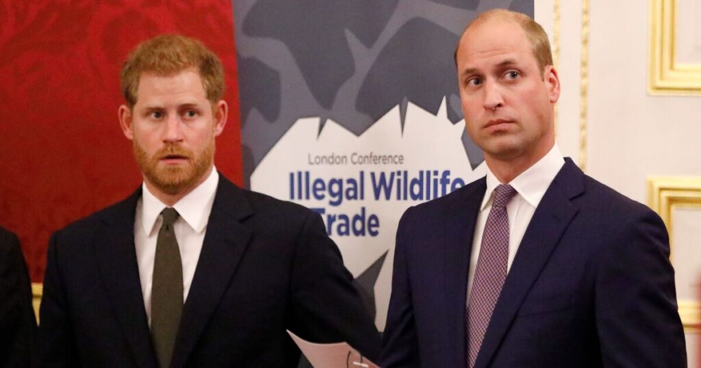 Prince William told 'learn from Prince Harry' as 'perfect' opportunity | Royal | News