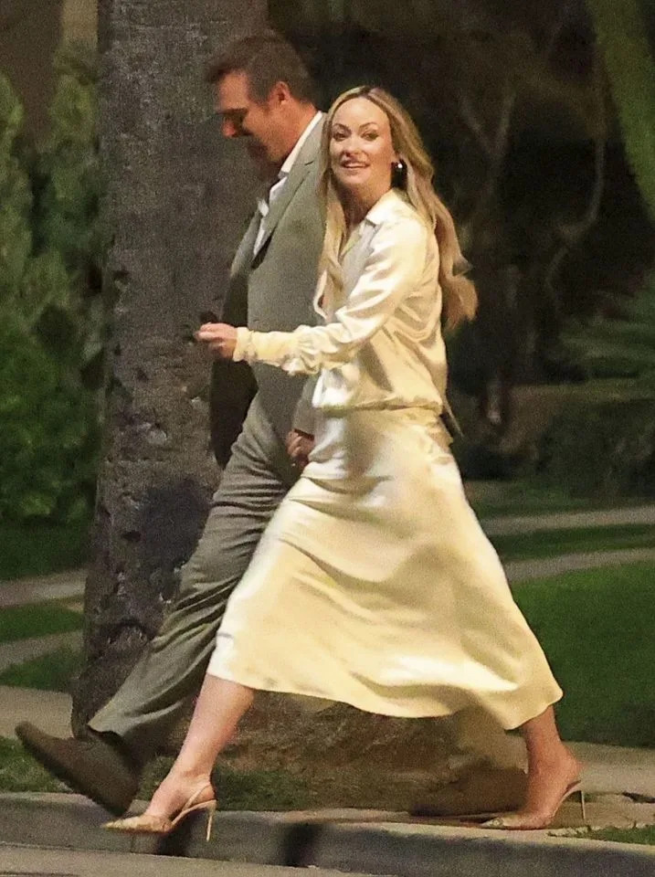 CPR/D.Sanchez / BACKGRID David Harbour and Olivia Wilde on Dec. 10, 2025