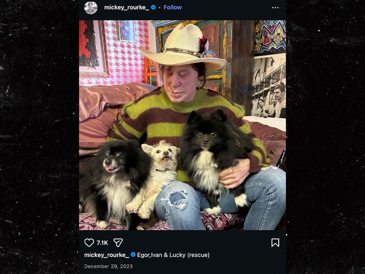 mickey rourke insta sub