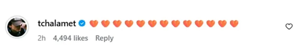 Chalamet “liked” the post and commented with orange heart emojis. Instagram