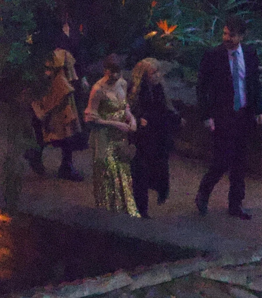 Nicks donned a black gown. BACKGRID