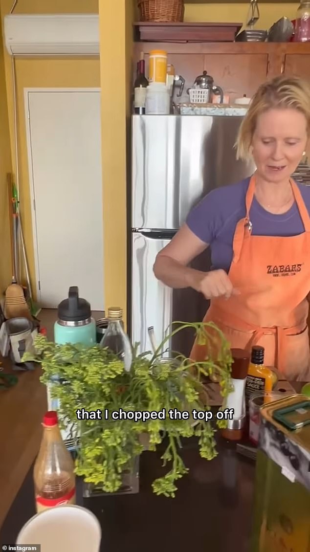 While the actress was praised for having a normal house, some pointed out the clutter