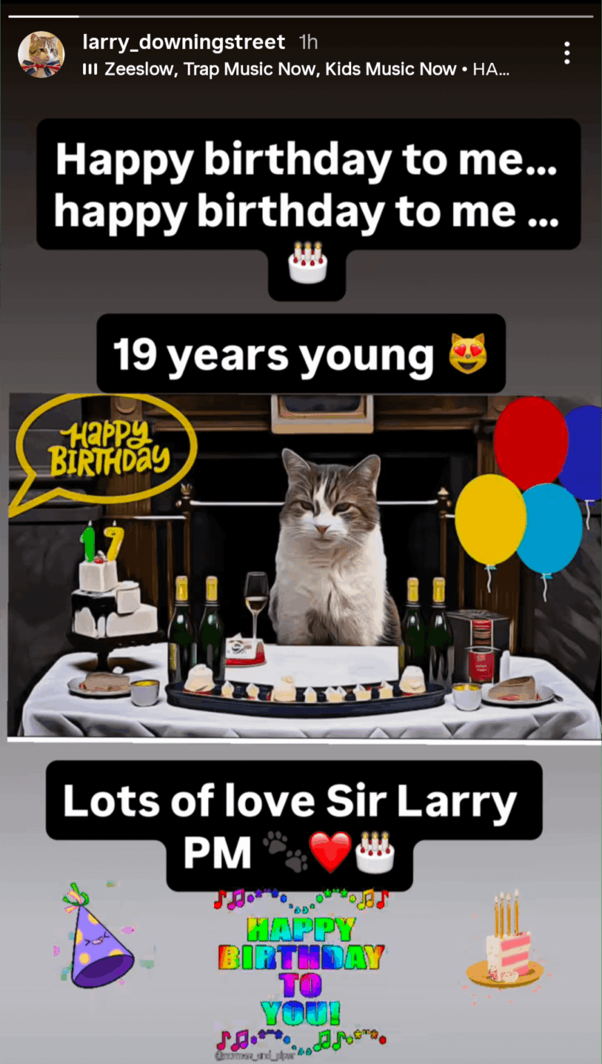 Larry, Chief Mouser to the Cabinet Office turns 19.