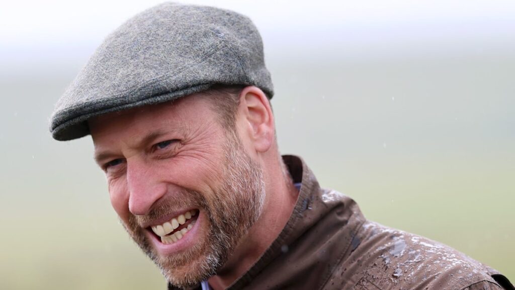 Prince William gets green light on ambitious Somerset property plans