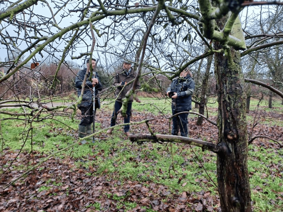 Prince William helps prune apple trees at a family farm in Herefordshire during visit with ‘We Are Farming Minds’ to highlight the importance of mental health support across the farming community.