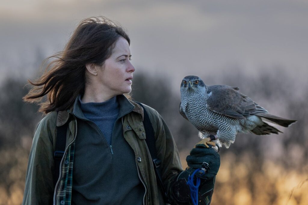 H Is for Hawk review – Claire Foy is remarkable in this tender tale of grief H Is for Hawk review – Claire Foy is remarkable in this tender tale of grief