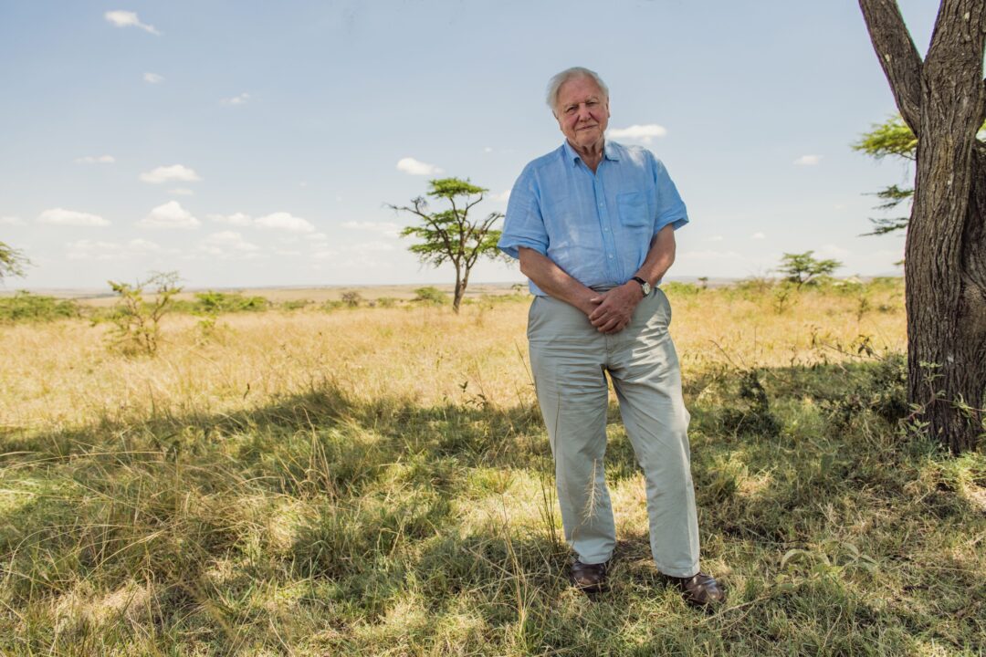 DAVID ATTENBOROUGH: A LIFE ON OUR PLANET, David Attenborough pictured in the Maasai Mara, Kenya, 2020