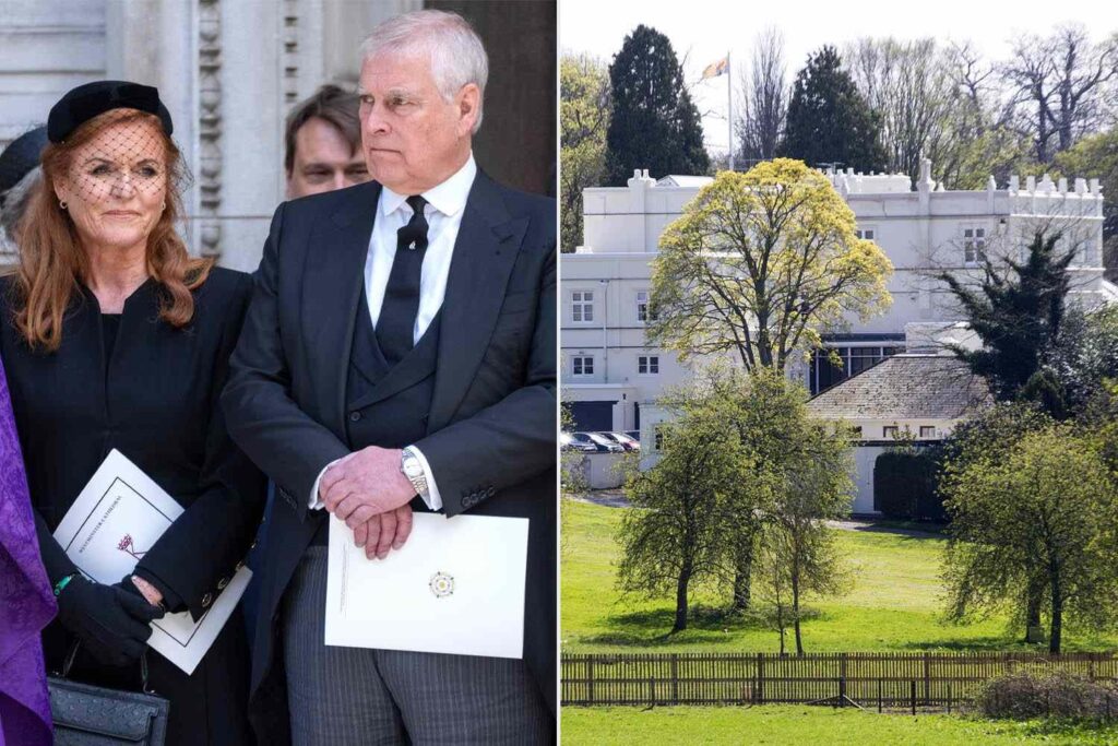 Sarah Ferguson Is Heading Overseas While She Considers Her Next Move as Royal Lodge Eviction Looms (Exclusive) Sarah Ferguson Is Heading Overseas While She Considers Her Next Move as Royal Lodge Eviction Looms (Exclusive)