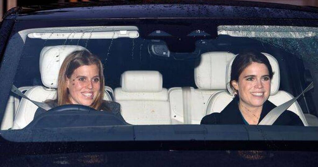 Princess Beatrice and Eugenie have royal role Prince Harry wanted, expert claims