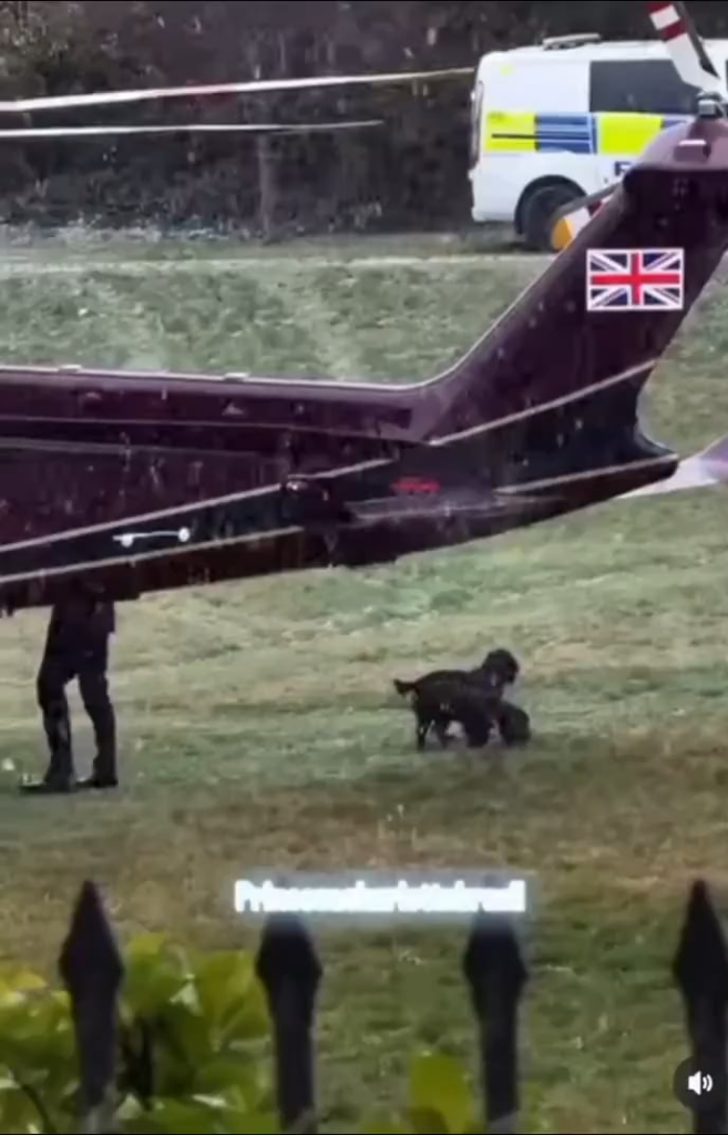 Prince William, Prince George and Prince Charlotte arriving at Kensington Palace by helicopter in the snow