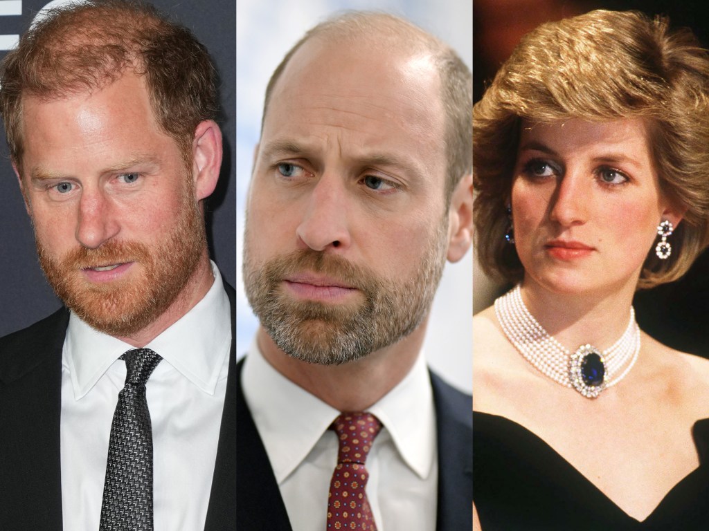 Prince William's Response to Harry & Meghan Markle's Princess Diana Movie