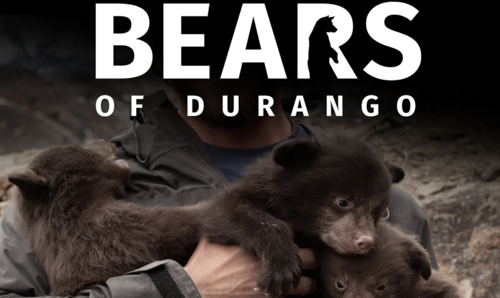 Idaho-Falls native filmmaker screening his award-winning documentary around Eastern Idaho - LocalNews8.com