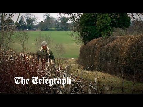 King Charles appears in trailer for new Amazon documentary about his environmentalism, narrated by Kate Winslet