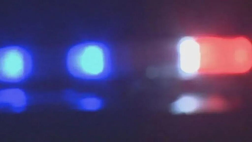 US Border agents shoot two people in Portland, city officials say