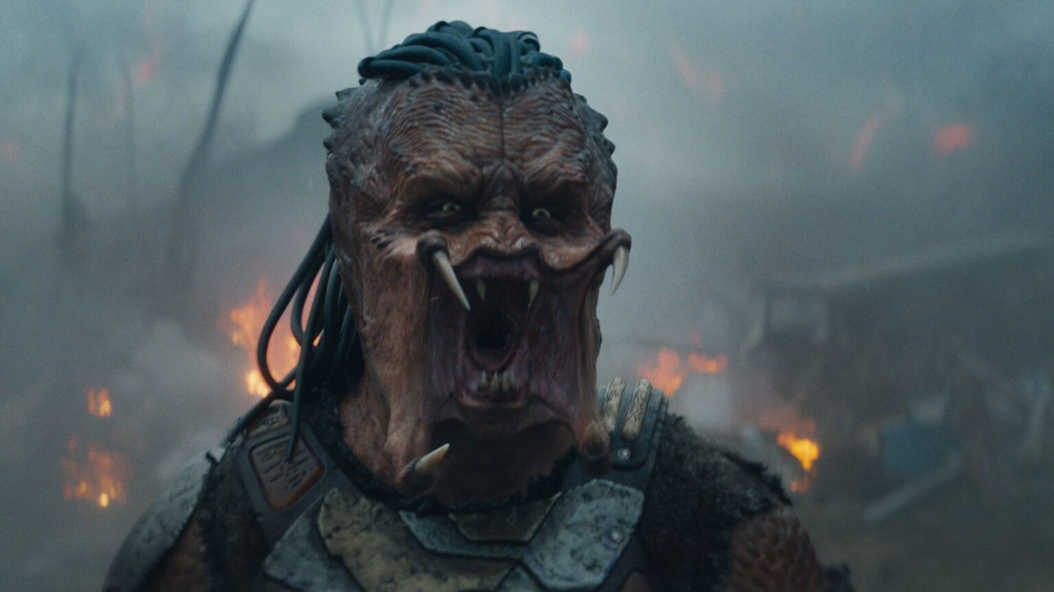 How to watch 'Predator: Badlands' at home digitally ahead of its February 4K Blu-ray release