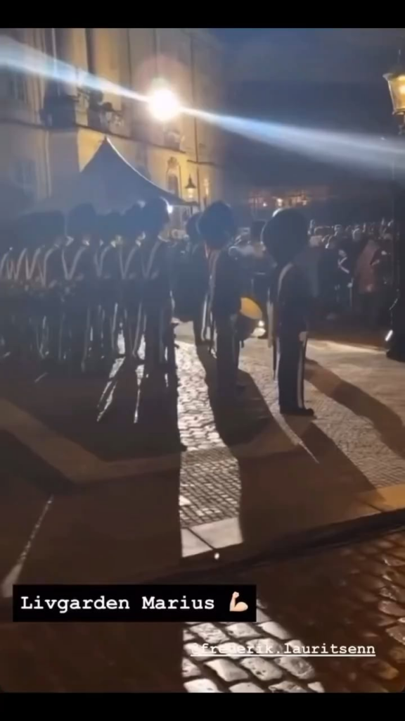 Danish royal guard shoves climate activist attempting to disrupt Frederik’s NY speech