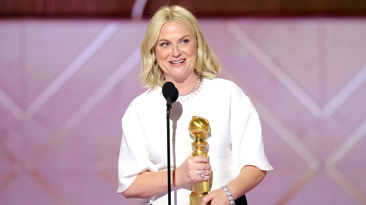 Amy Poehler poses for photographs while standing on the red carpet at an awards ceremony.
