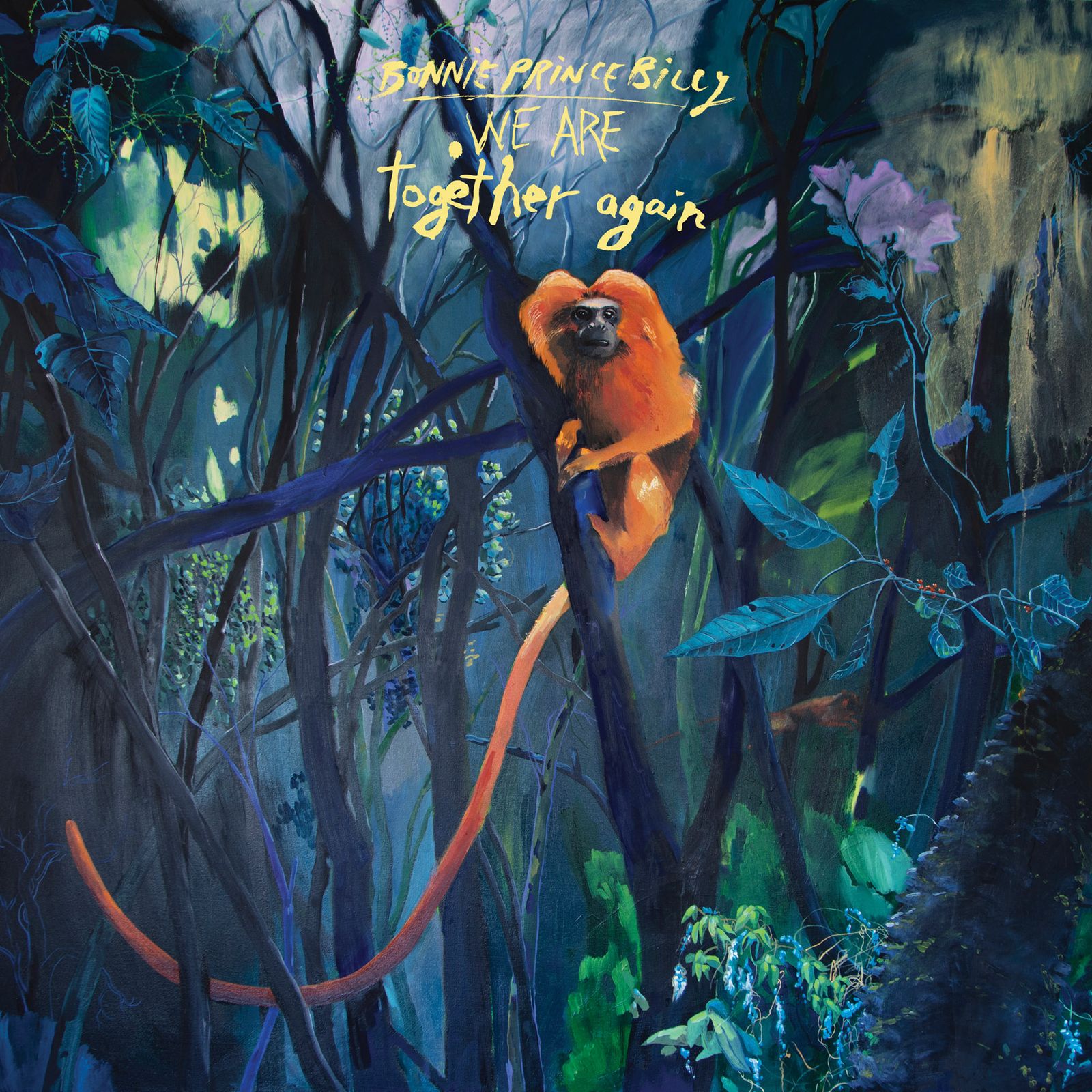 Image may contain Plant Vegetation Animal Mammal Monkey Wildlife Jungle Nature Outdoors Zoo Land and Rainforest