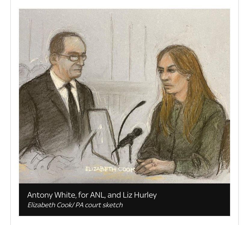 Courtroom artist who shafted Prince Harry absolutely butchers poor Liz Hurley