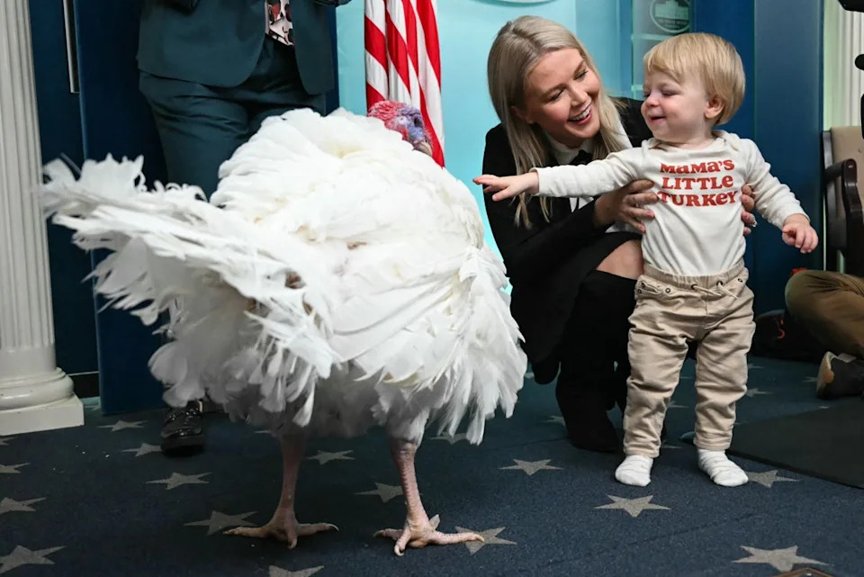 White House Press Secretary Karoline Leavitt, 28, announced last month that she and her husband are expecting another child in May (Andrew Caballero-Reynolds/AFP via Getty Images)