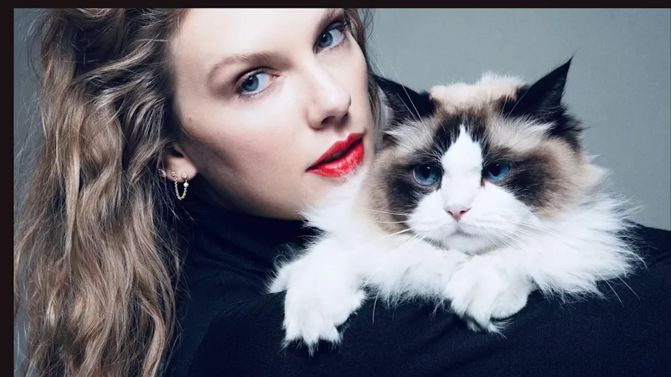 Image Credit: Taylor Swift via Instagram